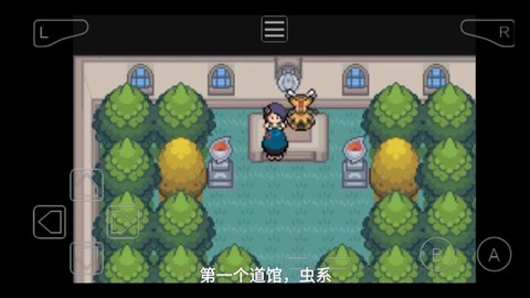 口袋妖怪白金光垂暮市道馆怎么走[图2]