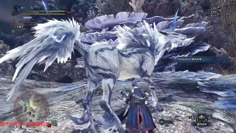 怪物猎人麒麟弱什么[图2]