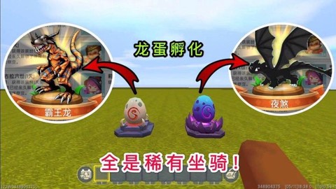 迷你世界龙蛋有什么用[图2]