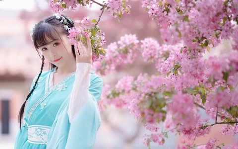 诛仙手游伤心花怎么样