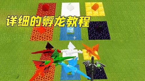 我的世界怎么孵出龙[图1]