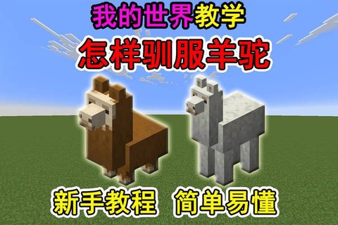 我的世界羊驼怎么驯服[图1]