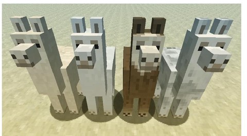 我的世界羊驼怎么驯服[图2]