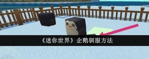 迷你世界怎么训企鹅[图1]