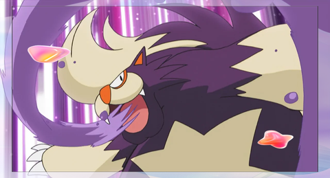 口袋妖怪什么系克毒系[图2]