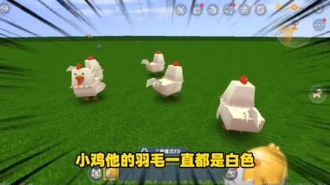 迷你世界小鸡吃什么