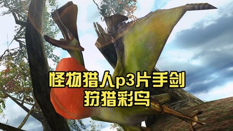 怪物猎人p3彩鸟怎么打